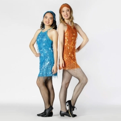 Ladies Biketard with Sequinned Overlay Dance Costume