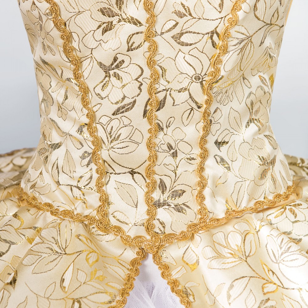 1st Position Prestige Gold/Silver Floral Woven Bodice Separate Over Dance Skirt 