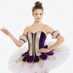 Ladies Cello Suite Competition Ballet Tutu